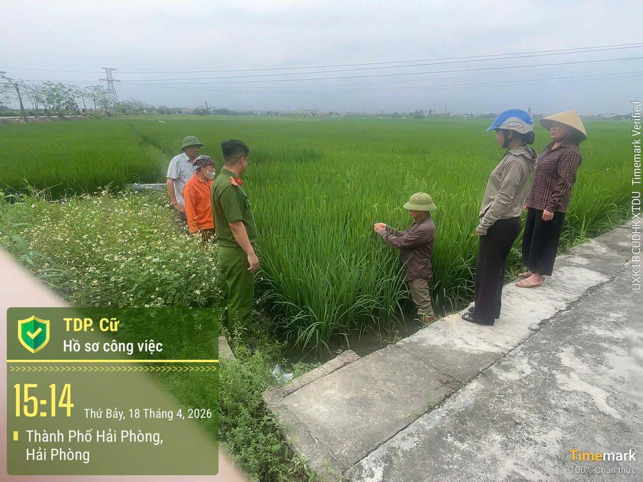 Công an phường An Phong: Hoàn thành việc vận động Nhân dân không sử dụng điện để bẫy, diệt chuột